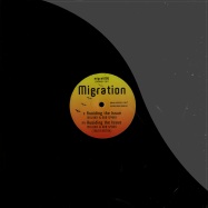 Front View : Majiika + Rob Sparx - AVOIDING THE ISSUE (TRUTH REMIX) - Migration / migrat006