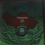 Front View : A Cat Called Fritz - REMIXES: TRIBULATIONS AND LIFE OF A CAT.. (DELUXE 2LP) - HHV / HHV424DLX