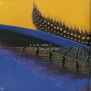 Front View : Robin Saville - BUILD A DIORAMA (LP) - Morr Music / morr172-lp