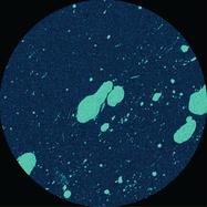 Front View : Connor Wall - EQUALS - Sublunar / SUBL029