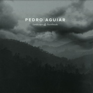 Front View : Pedro Aguiar - LANDSCAPES & HEARTBREAKS (LP) - Darkroom Dubs / DRDLP001