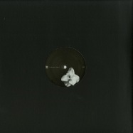 Front View : Kangding Ray / Rrose - ARDENT / SWALLOWS - Stroboscopic Artefacts / SA027