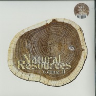 Front View : Various Artists - NATURAL RESOURCES VOL. II (2X12 LP + MP3) - Perfecttoyrecords / PT045LP