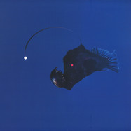Front View : Michael Melchner - NO LIGHT BELOW - Omega Men / OMEN008