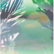 Front View : Sergio Maria Saguaro (hiroaki Sugawara) - RAIN GUITAR (LP) - Forest Jams / FJLP-07