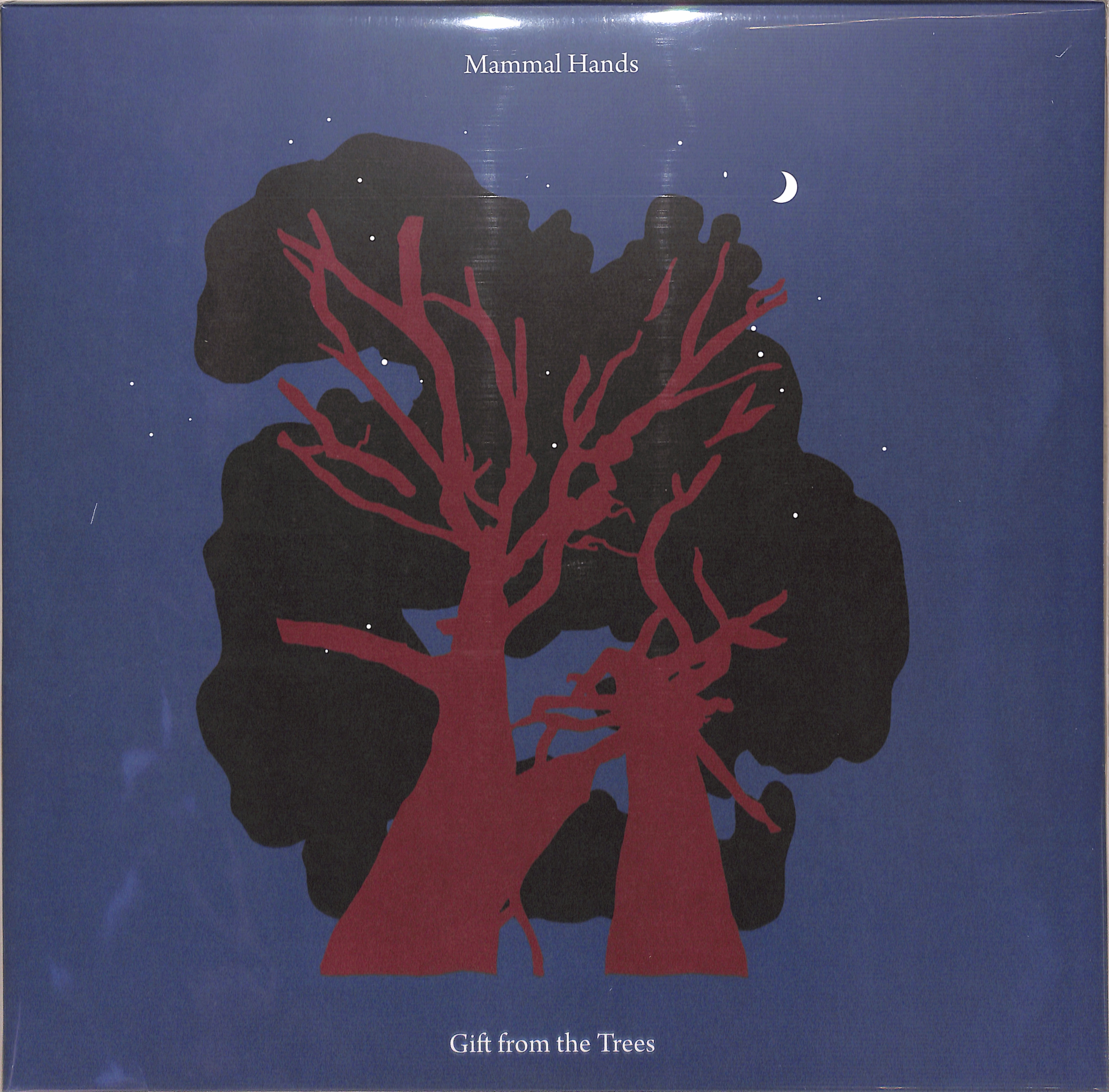 Mammal Hands - GIFT FROM THE TREES