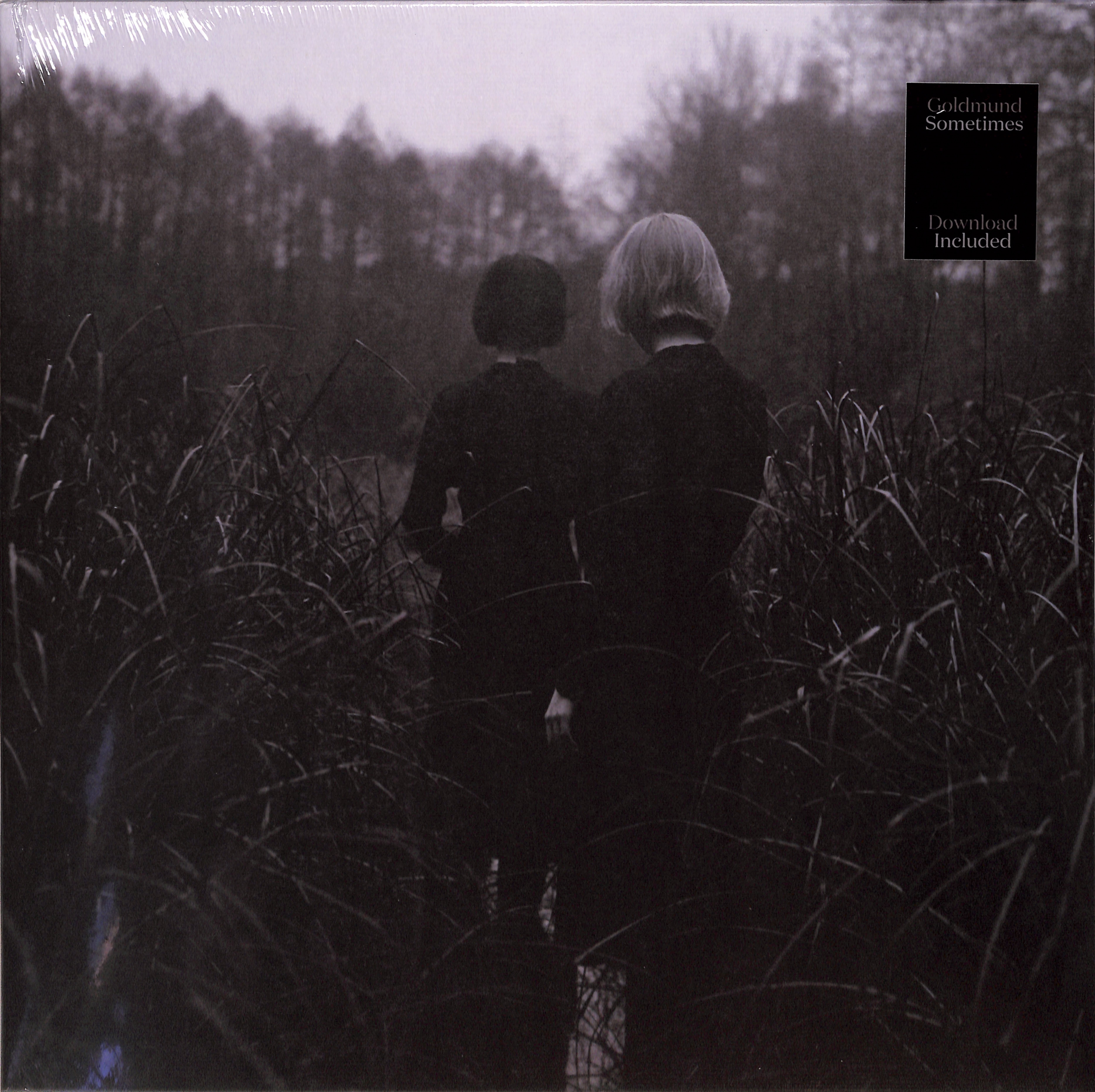 Goldmund - SOMETIMES