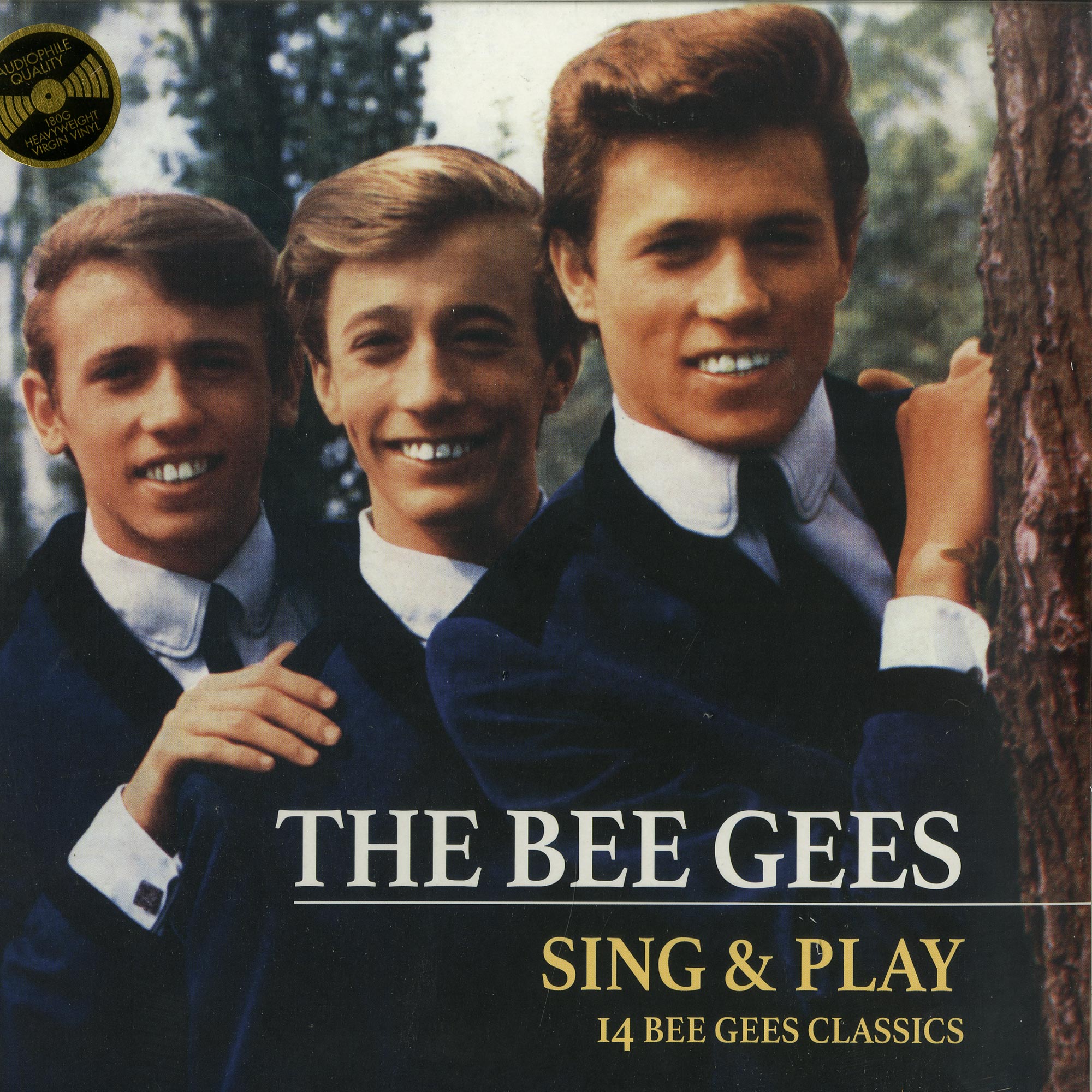 The Bee Gees SING & PLAY 14 BEE GEES CLASSICS