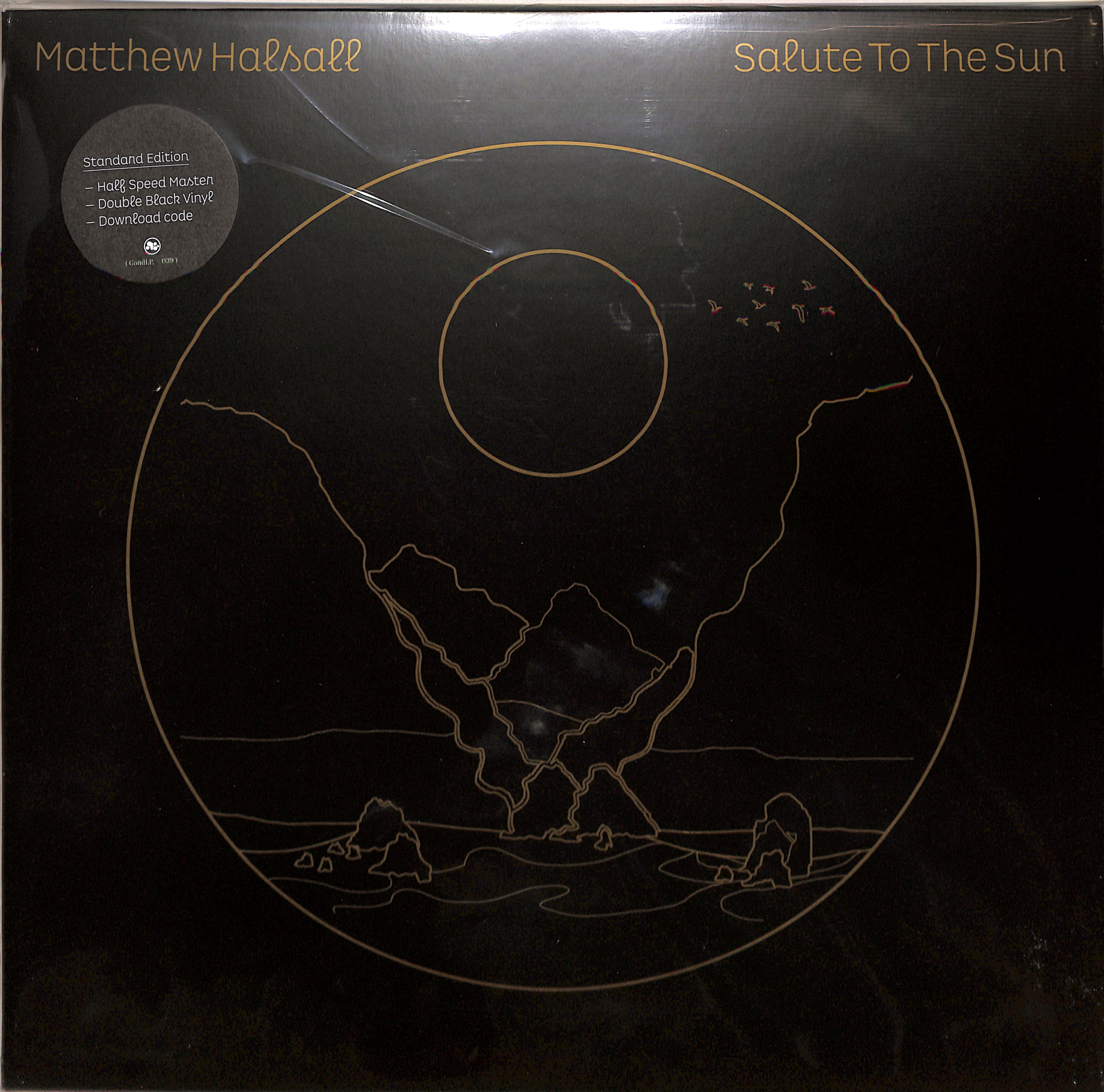 Matthew Halsall - salute to the sun (2lp)