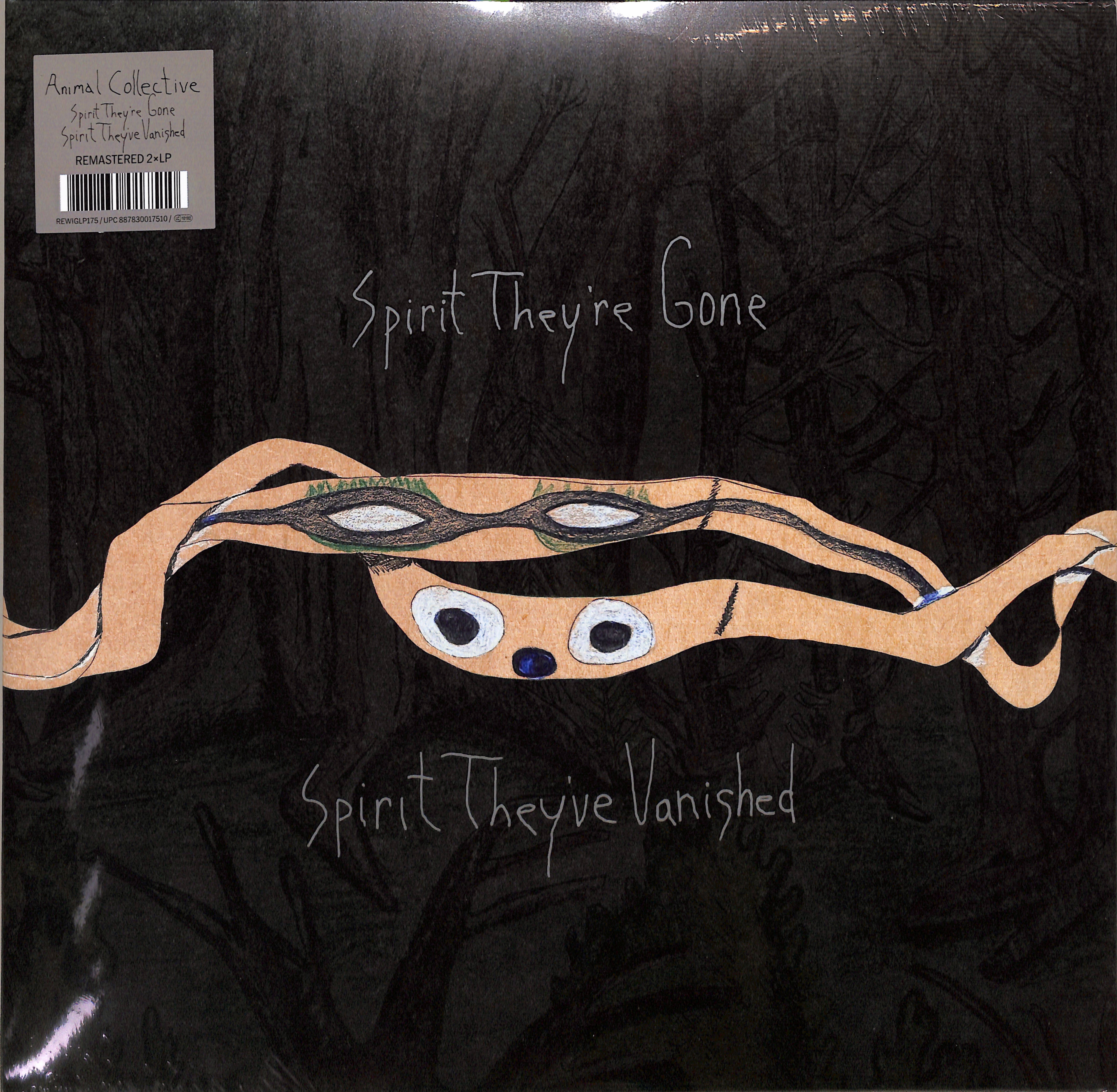 Animal Collective: Spirit They're Gone, Spirit They've Vanished